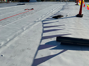 Commercial Roof Inspection Strafford, MO 1
