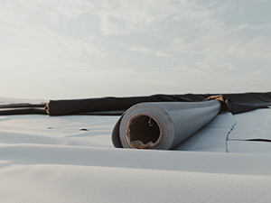 TPO Roof Repair Strafford, MO 1