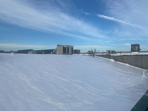 Roof Restoration Bolivar, MO 2